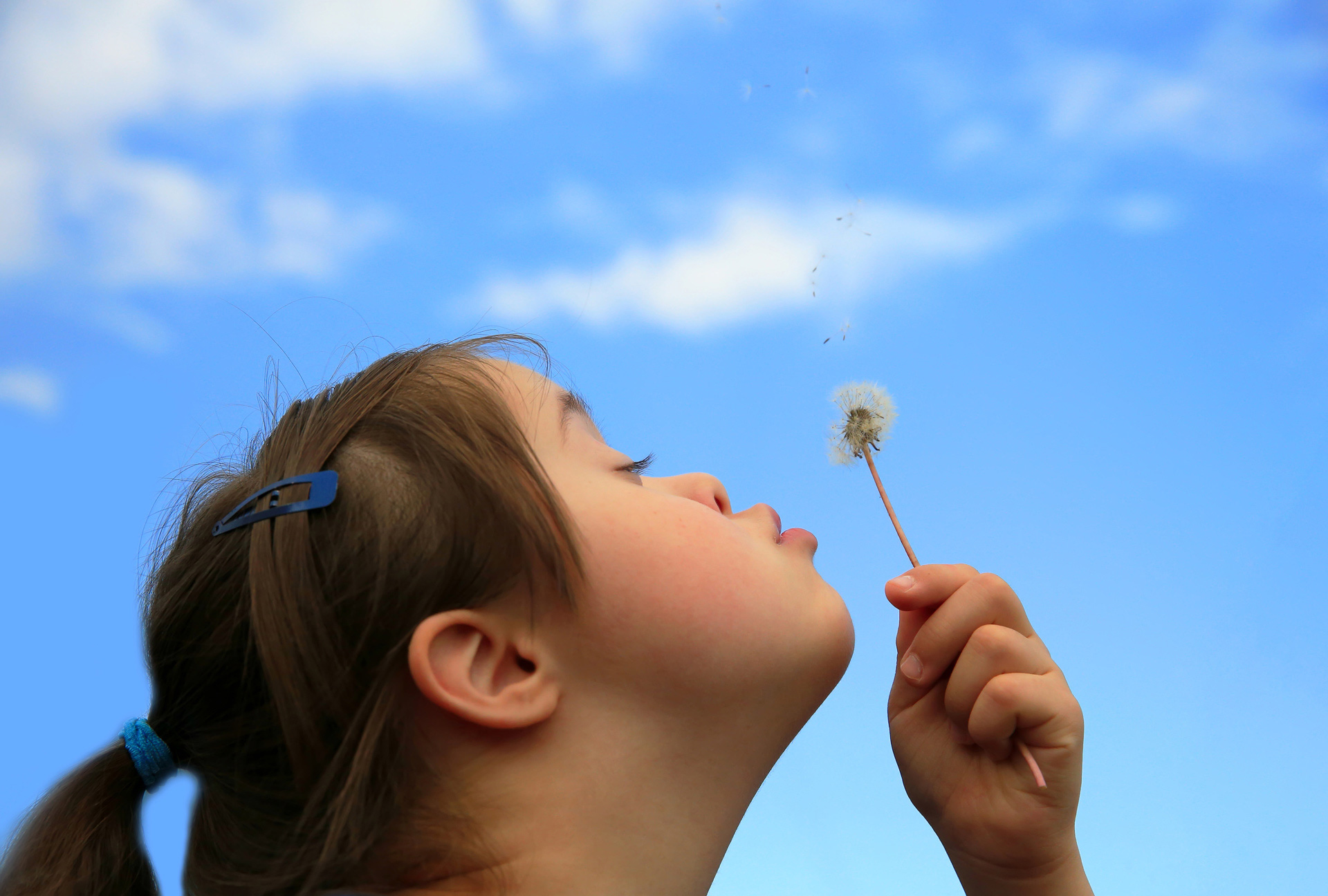 Kind pustet auf Sonnenblume. Im Hintergrund strahlend blauer Himmel