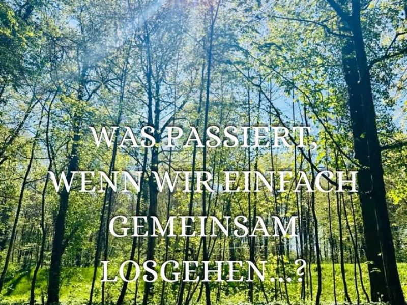 Dekoratives Bild eines Instagram Posts der Offenen Hilfen